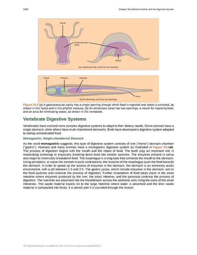 Biology - New Page