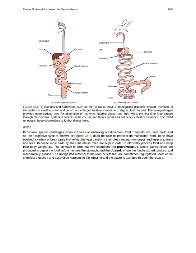 Biology - New Page