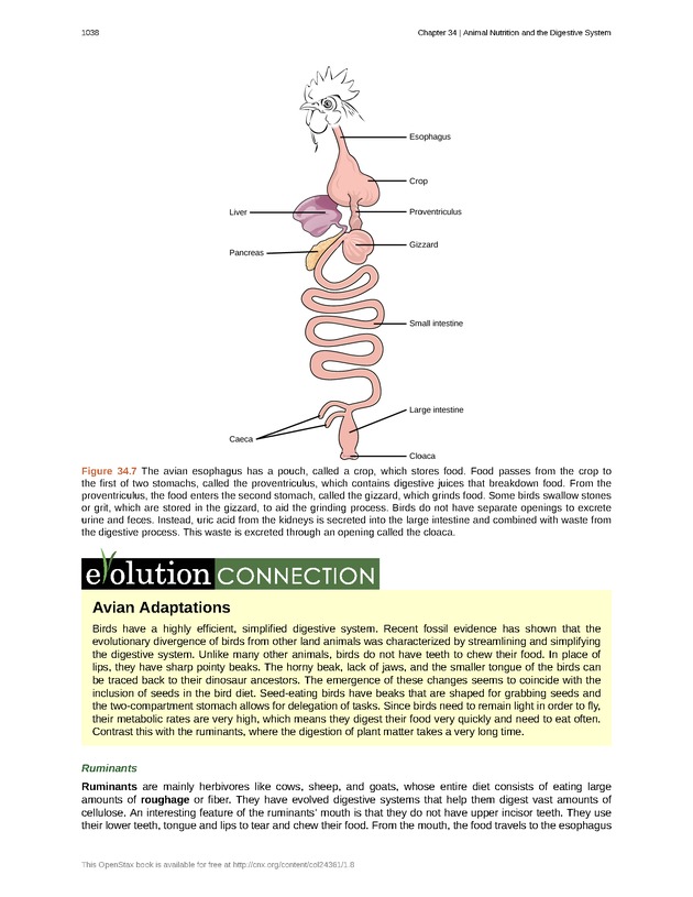 Biology - New Page