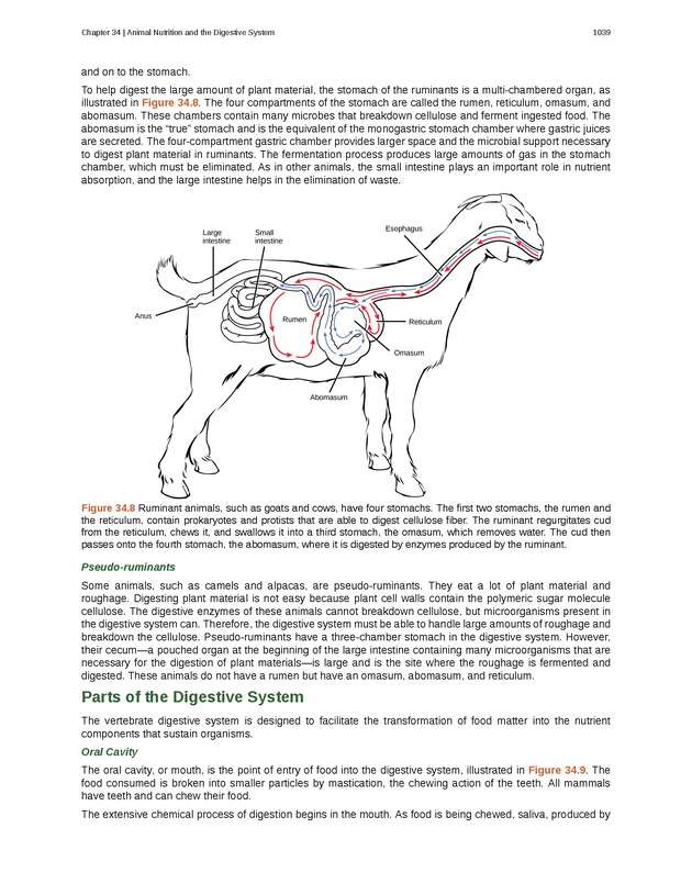 Biology - New Page
