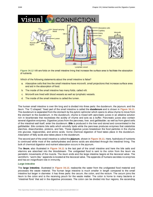 Biology - New Page