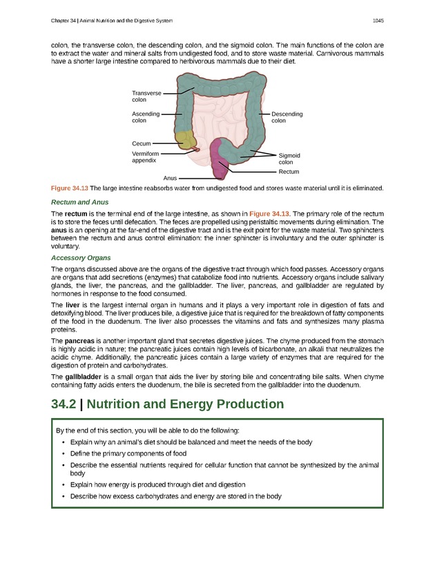 Biology - New Page