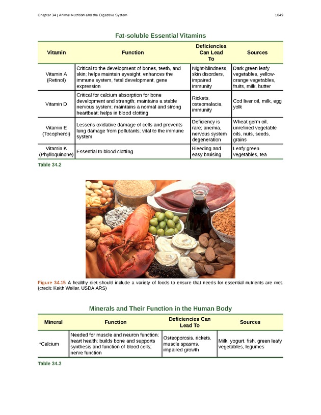 Biology - New Page