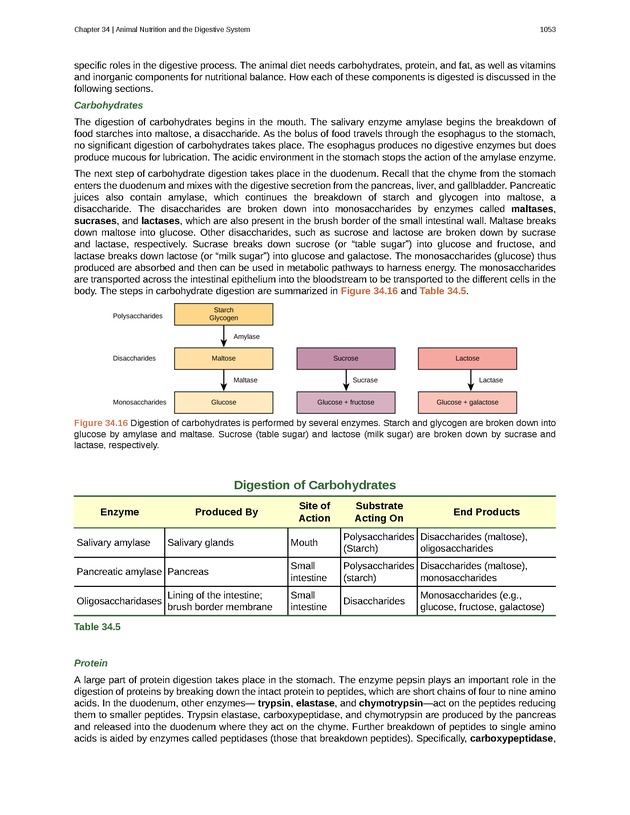 Biology - New Page