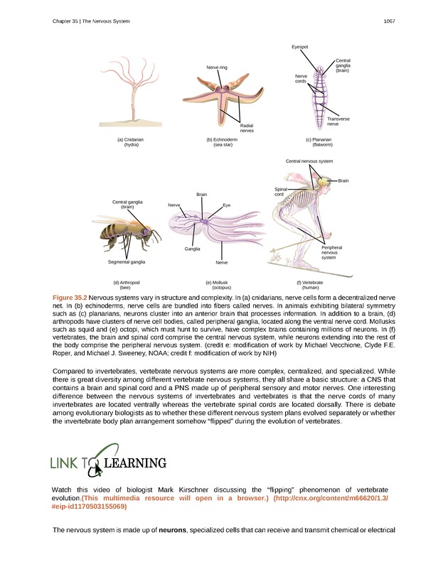 Biology - New Page
