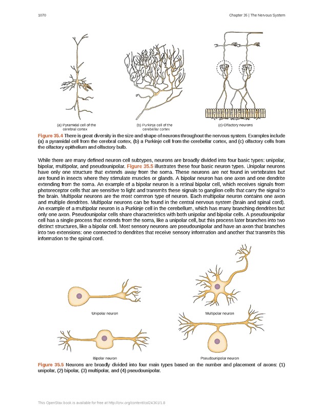 Biology - New Page