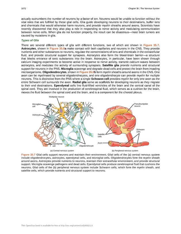 Biology - New Page