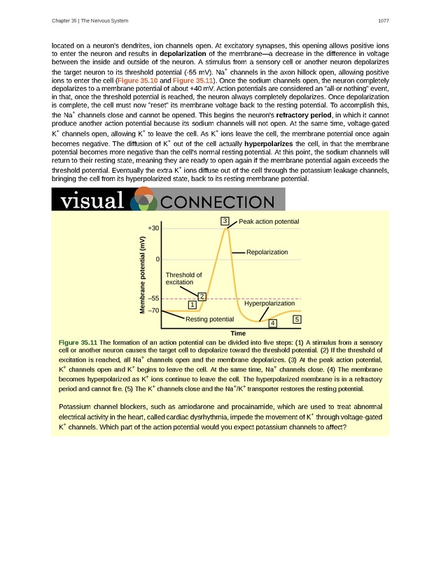 Biology - New Page