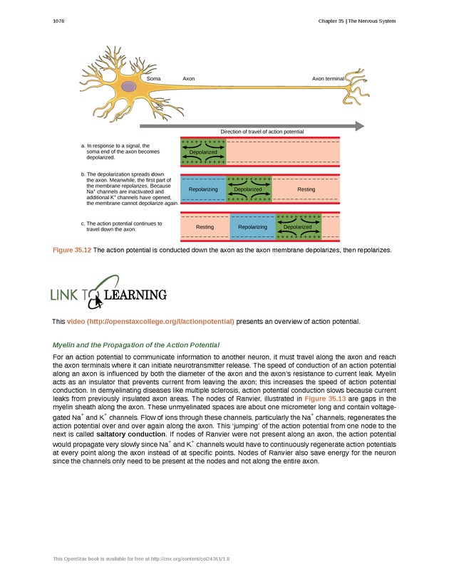 Biology - New Page
