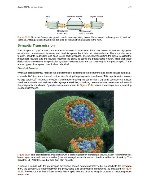 Biology - New Page