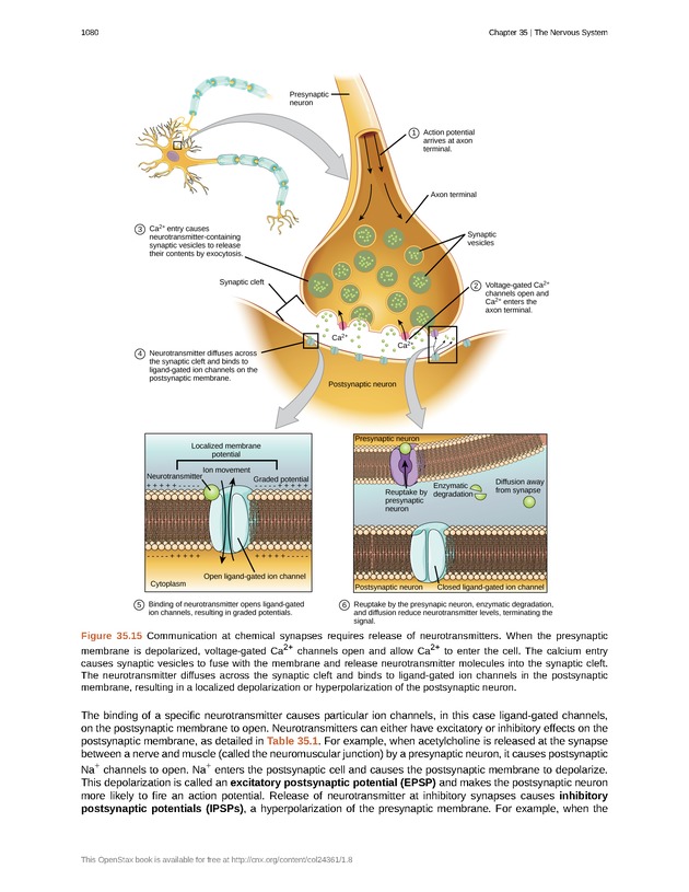 Biology - New Page