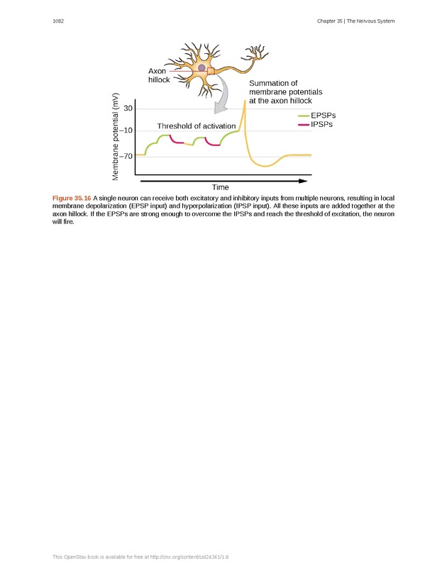 Biology - New Page