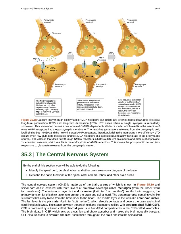 Biology - New Page