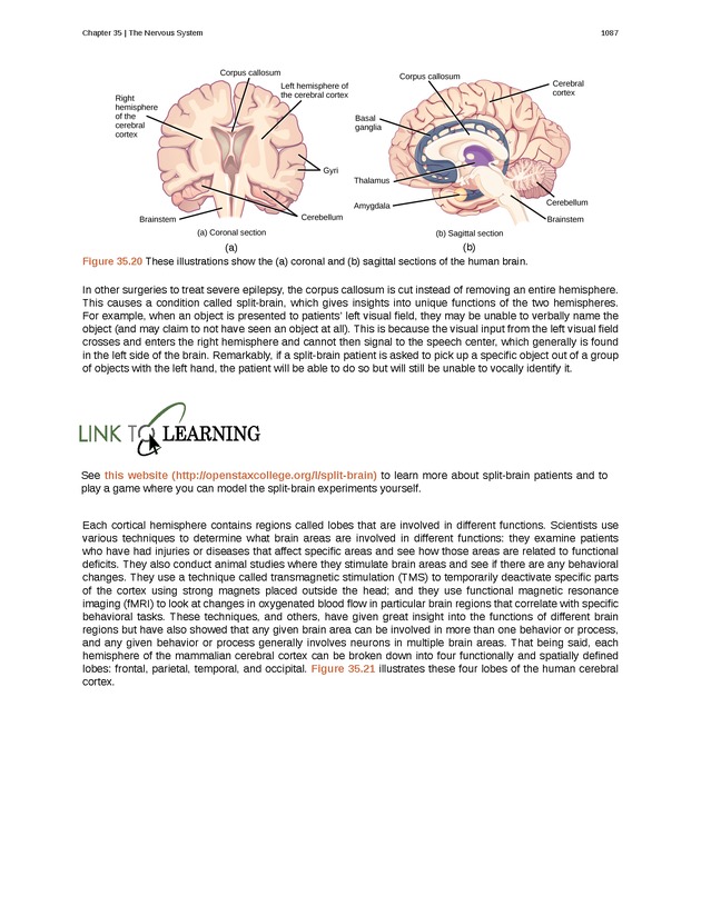 Biology - New Page