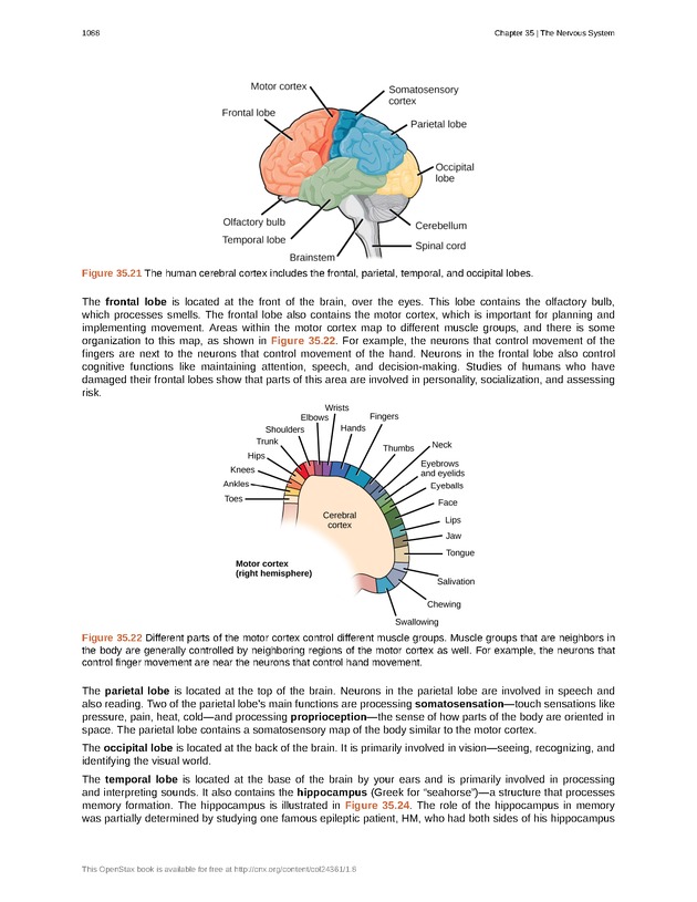 Biology - New Page