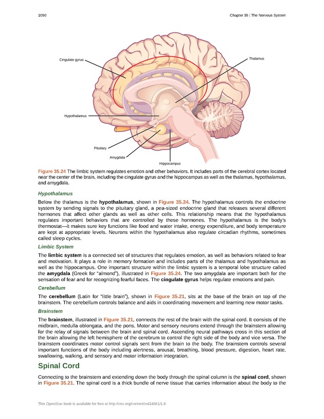 Biology - New Page