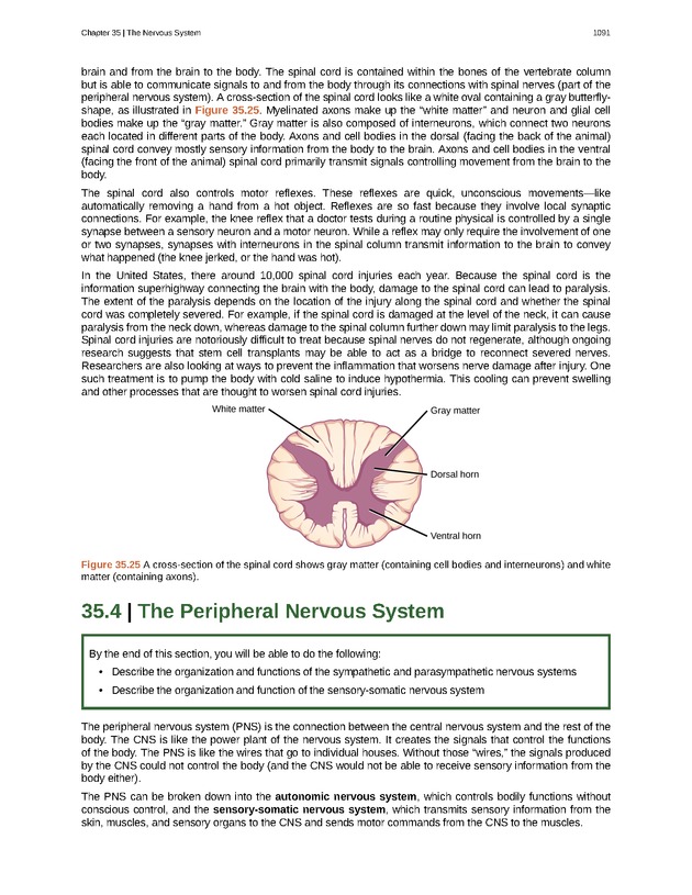 Biology - New Page