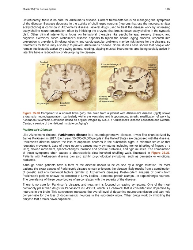 Biology - New Page