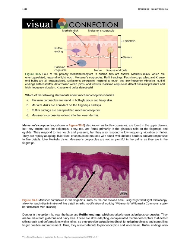 Biology - New Page