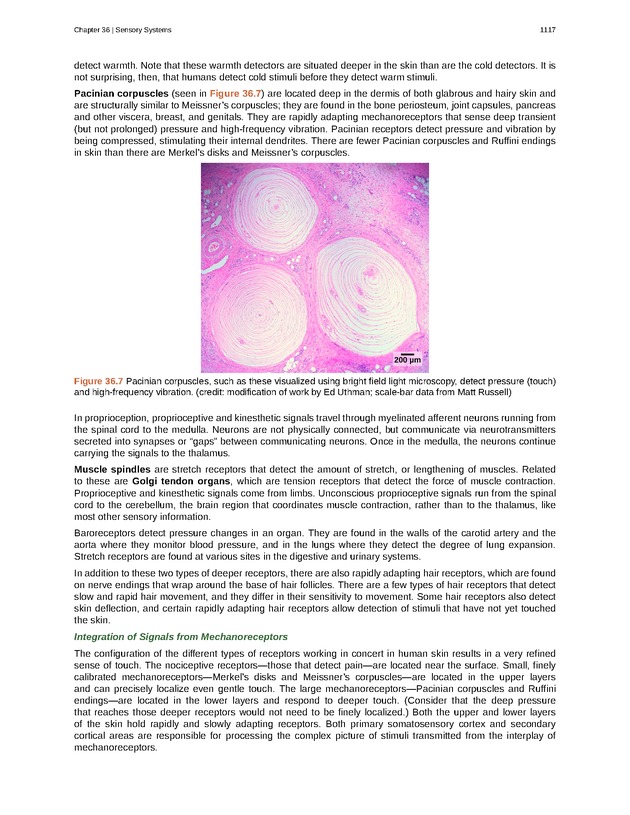 Biology - New Page