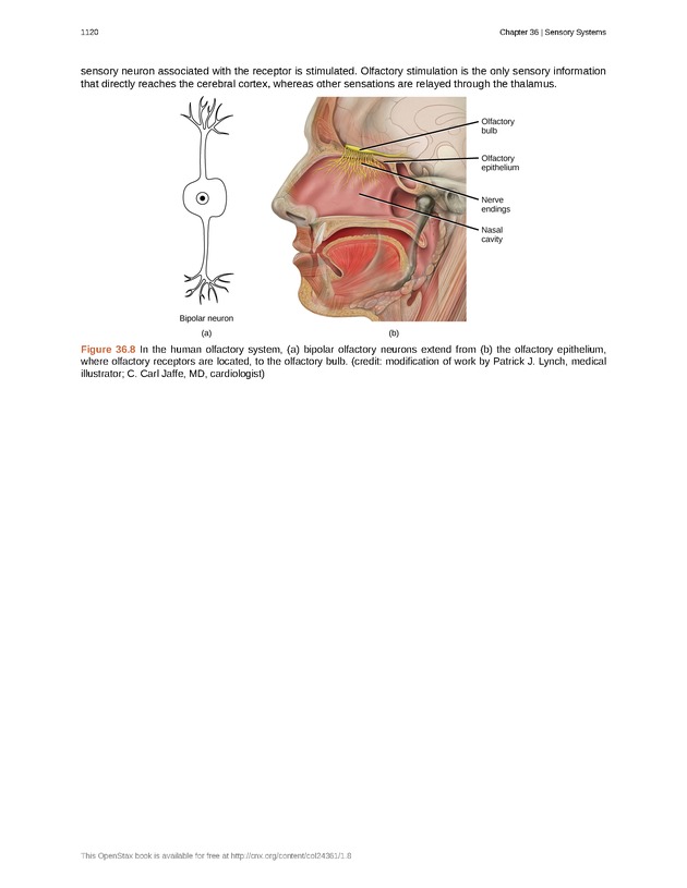Biology - New Page