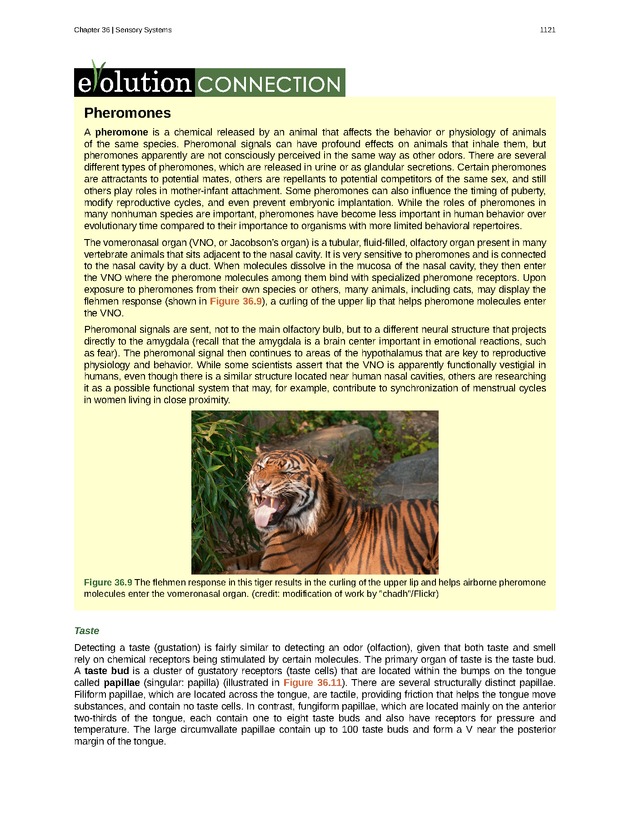 Biology - New Page