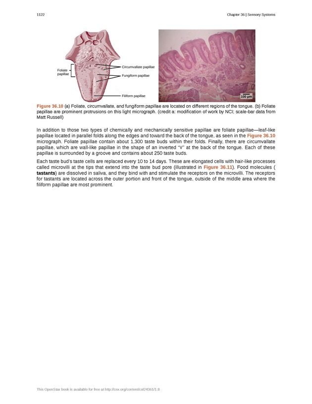 Biology - New Page