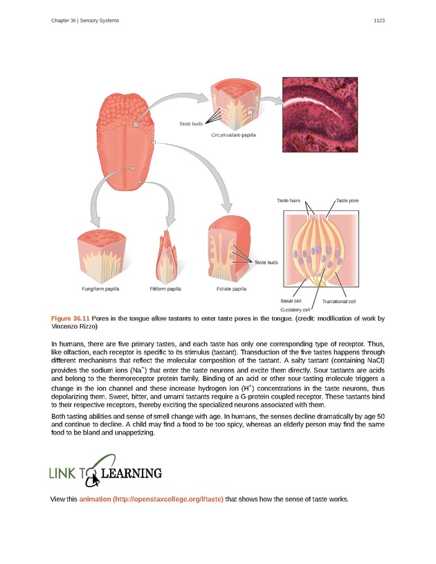 Biology - New Page