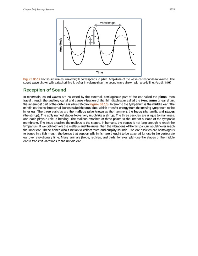 Biology - New Page