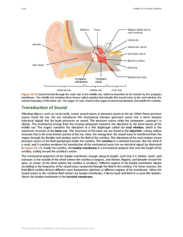 Biology - New Page