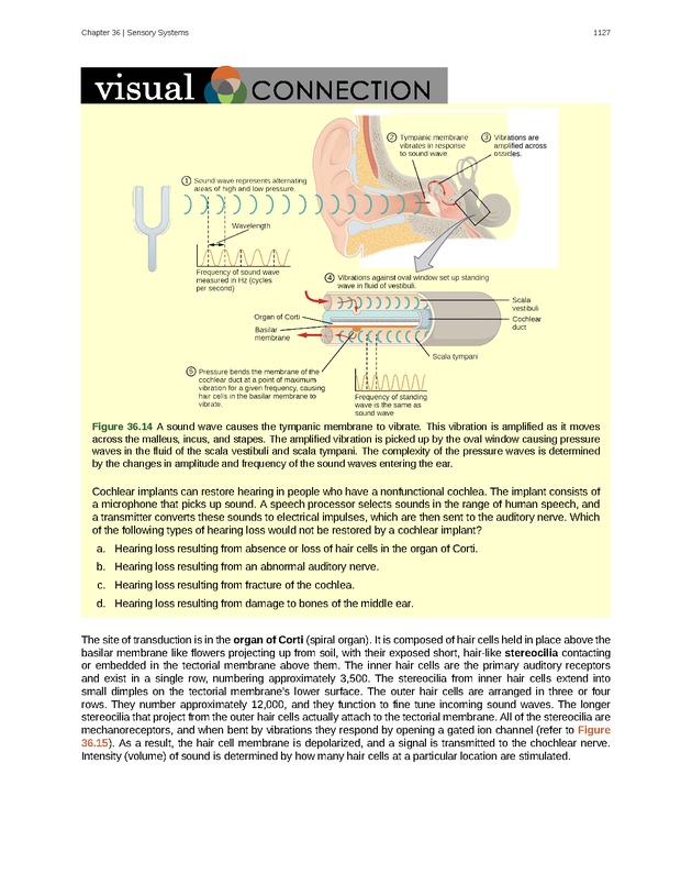 Biology - New Page