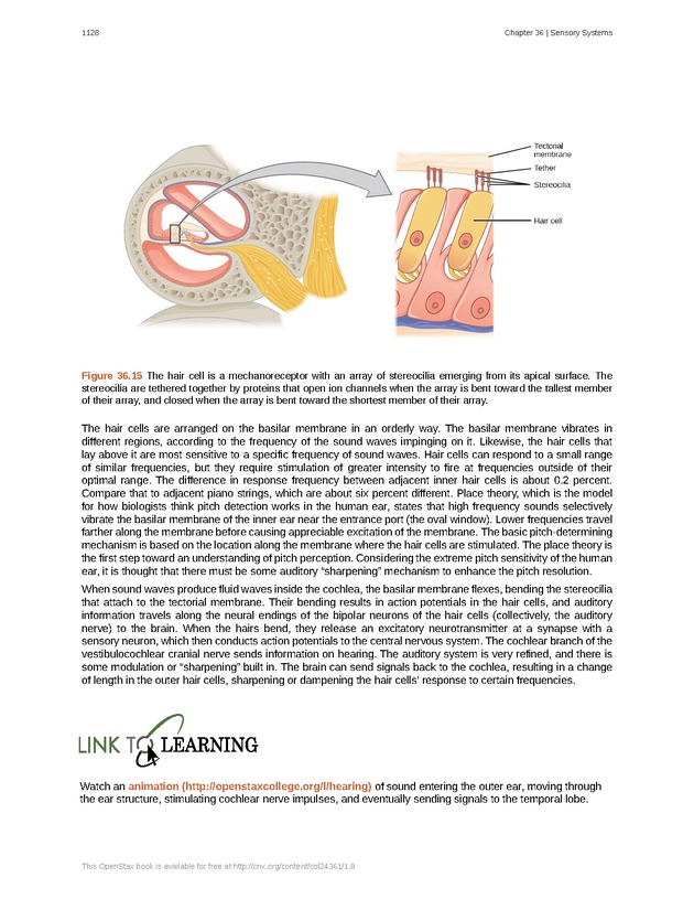 Biology - New Page