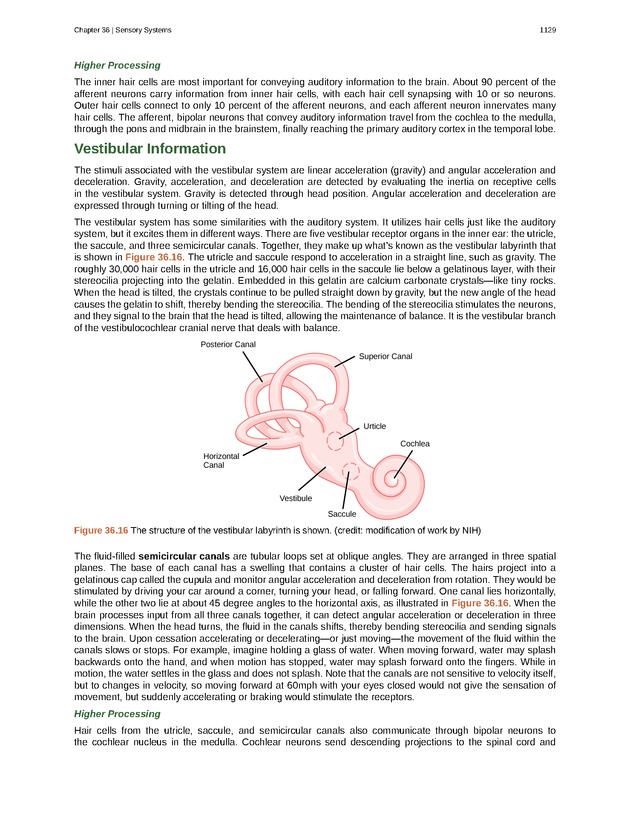Biology - New Page
