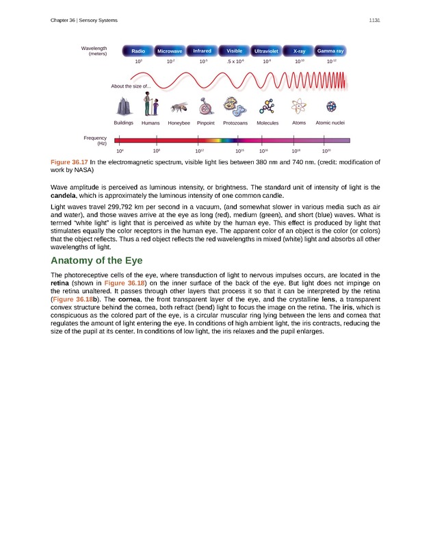 Biology - New Page
