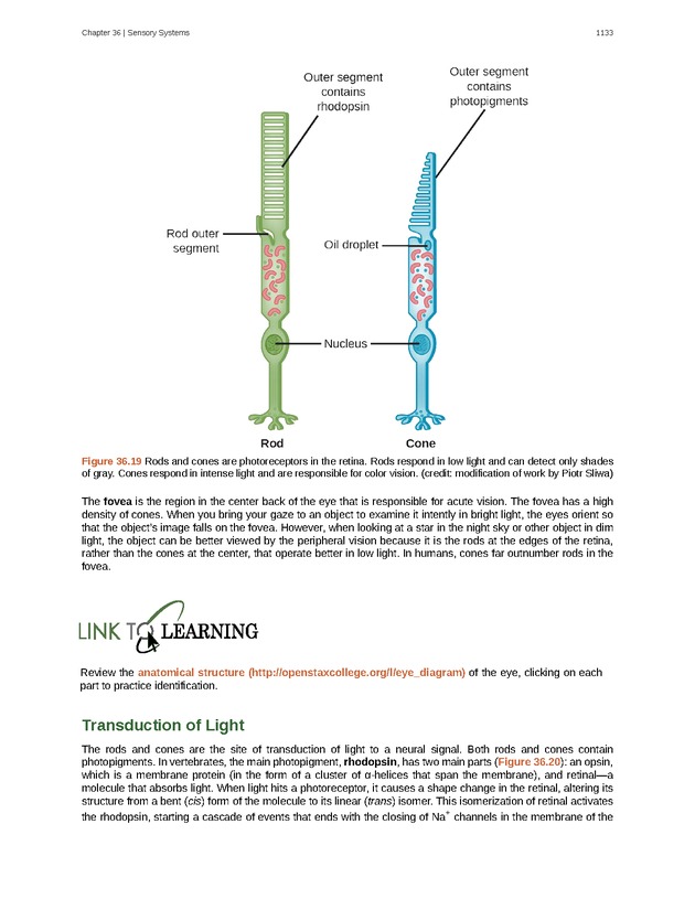 Biology - New Page