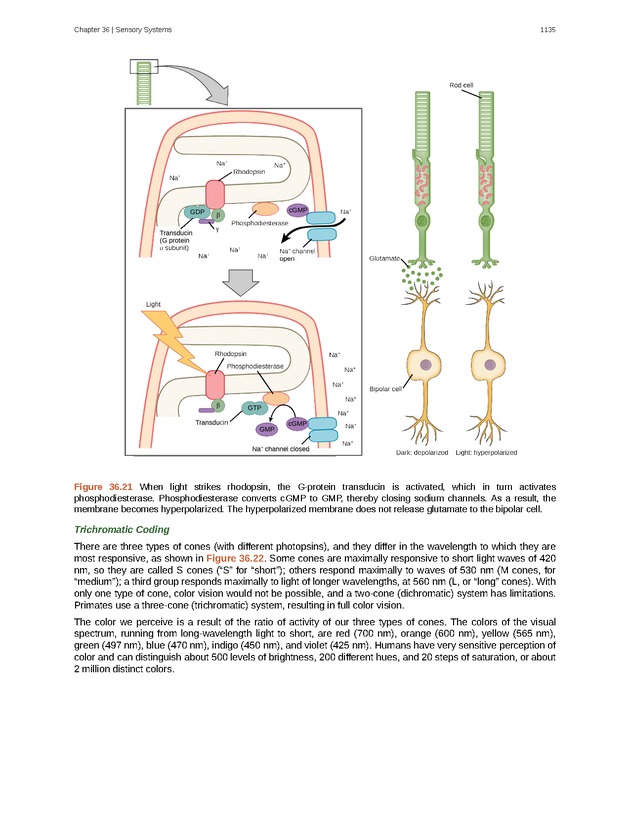 Biology - New Page