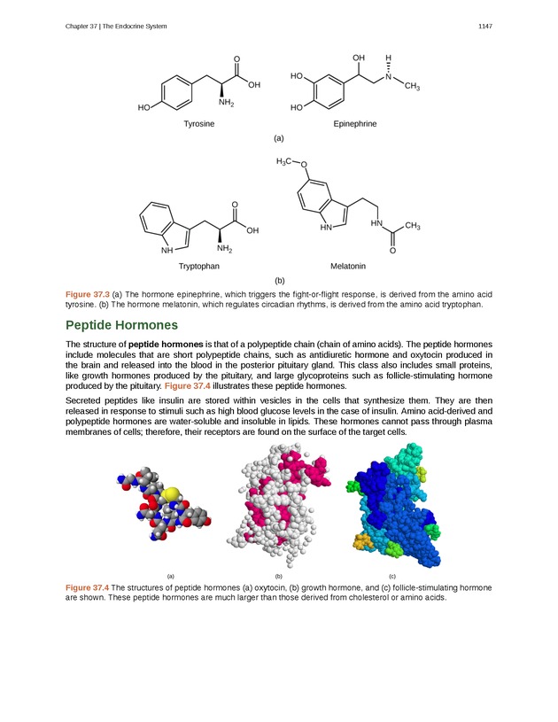 Biology - New Page