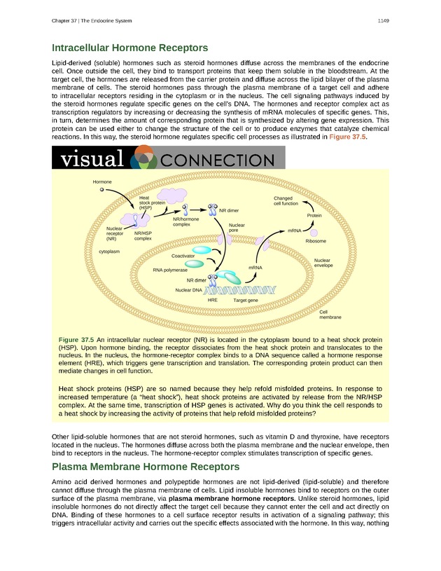 Biology - New Page