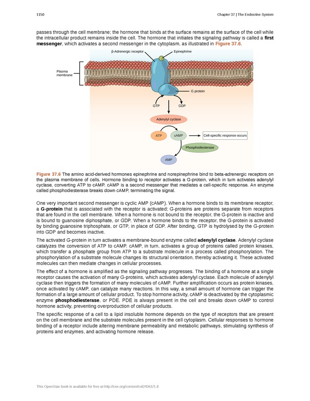 Biology - New Page