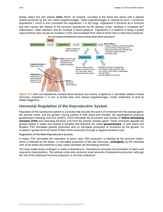Biology - New Page