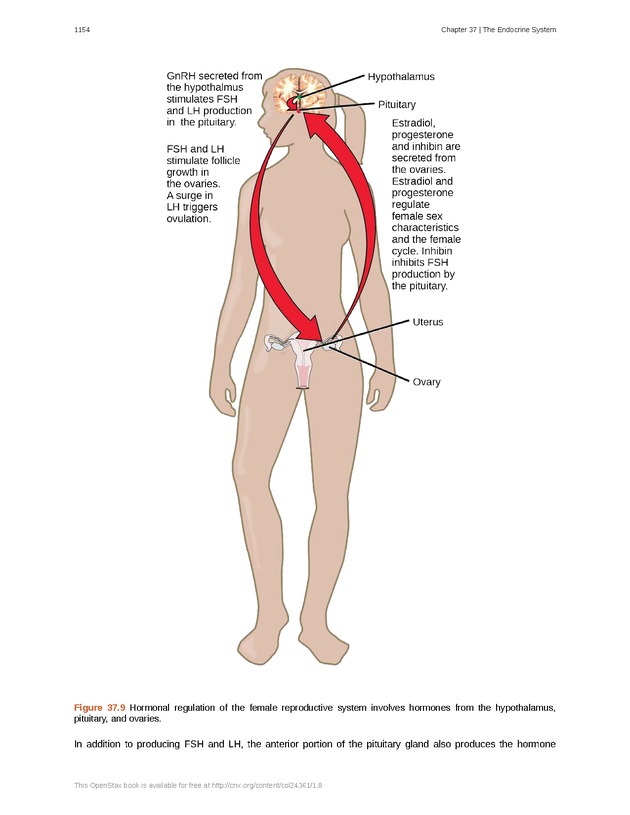 Biology - New Page