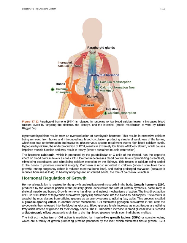 Biology - New Page