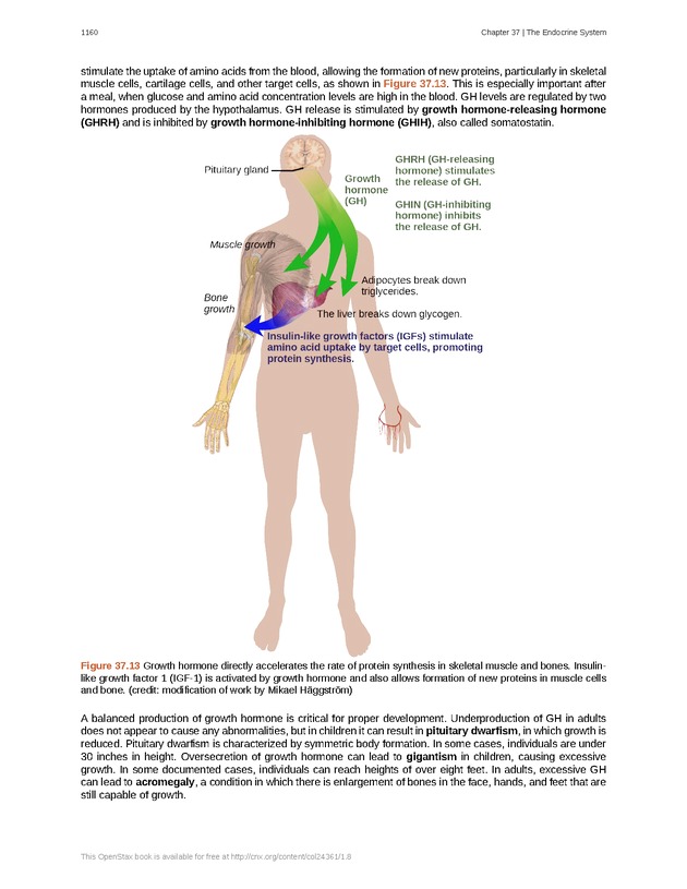 Biology - New Page