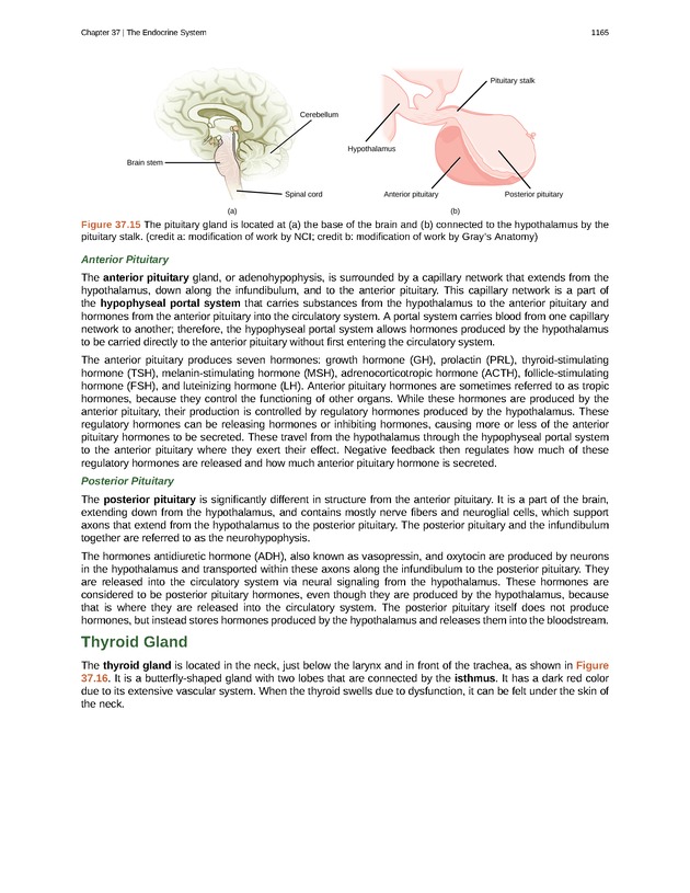 Biology - New Page
