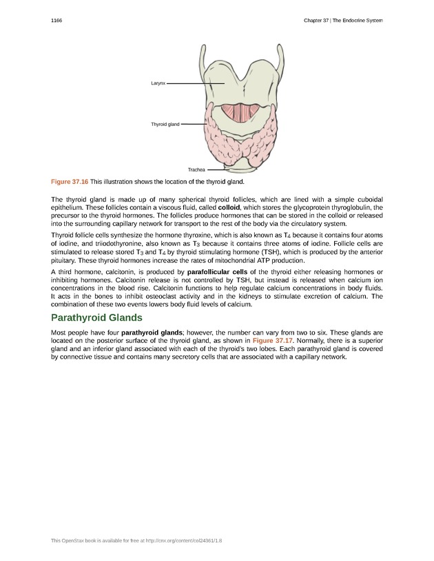 Biology - New Page