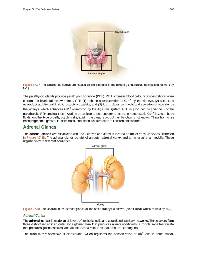 Biology - New Page