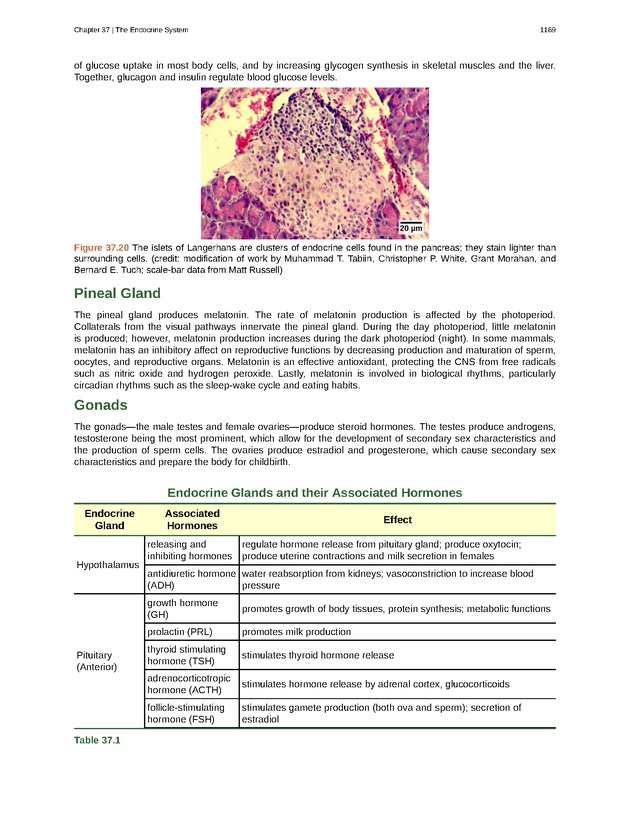 Biology - New Page