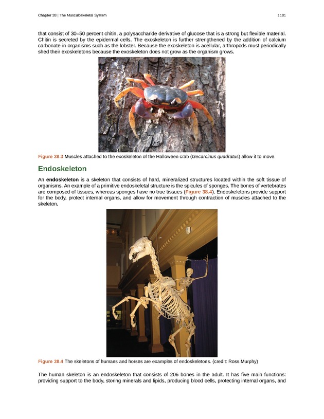 Biology - New Page