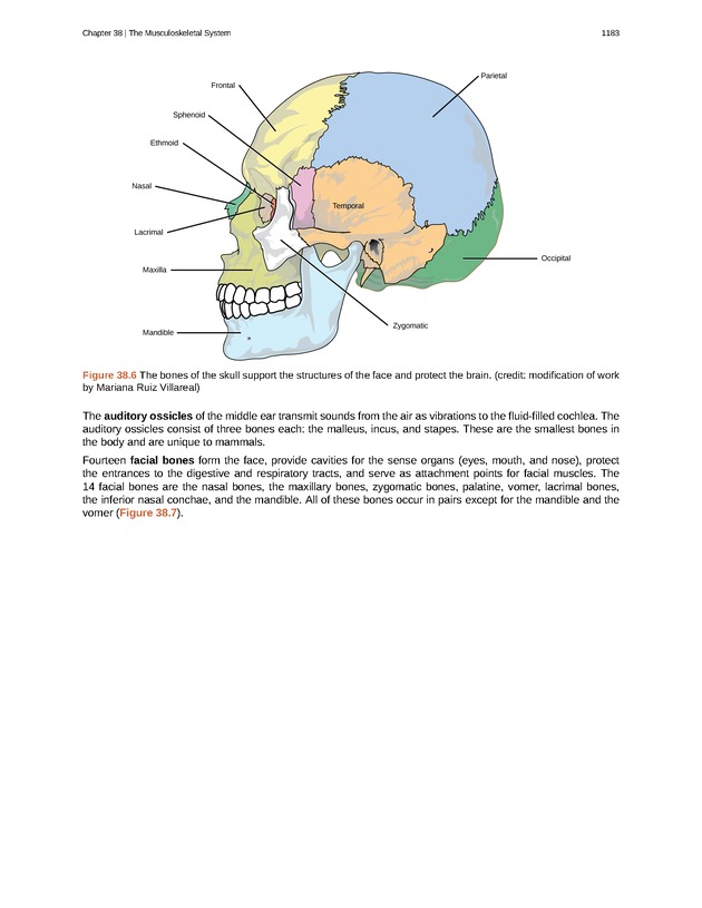 Biology - New Page