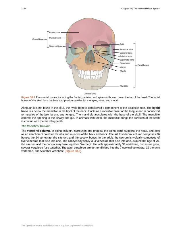 Biology - New Page
